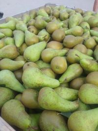 Top Fruit|Pears|Conference