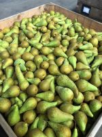 Top Fruit|Pears|Conference