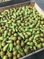 Top Fruit|Pears|Conference