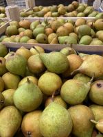 Top Fruit|Pears|Gieser Wildeman