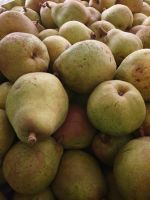 Top Fruit|Pears|Doyenné du Comice