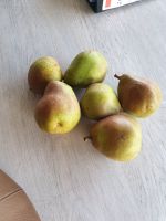 Top Fruit|Pears|Doyenné du Comice